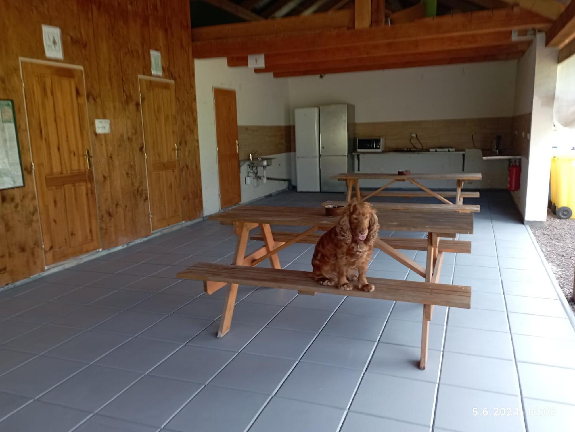 Campsite Stellplatz *